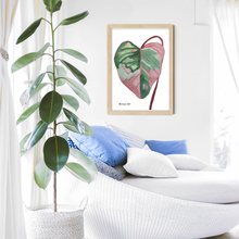 Load image into Gallery viewer, This gorgeous Philodendron, Pink Princess is a print of Toni’s beautiful original watercolor painting. This gorgeous print is the perfect addition to any keen plant lovers room.