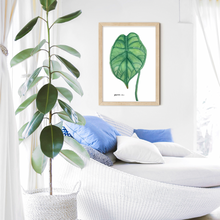 Load image into Gallery viewer, This gorgeous Alocasia Baginda, Dragons Scale is a print of Toni’s beautiful original watercolour. This beautiful Palm leaf is the perfect Wall Art addition to any keen plant lovers room.
