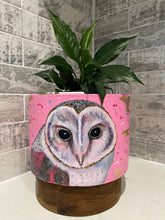 Load image into Gallery viewer, Barn Owl Planter