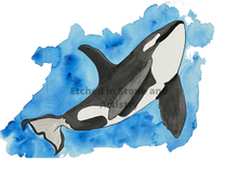 Load image into Gallery viewer, If you have a love for Marine animals, than these are the prints for you! These stunning wall prints are perfect as singles or sets of 3, 4, 5 and 6. The mix of soft and dark blues give a calming feel to each print. This one features an Orca Whale. These would be gorgeous in a child’s bedroom. Beautiful and educational all in one.