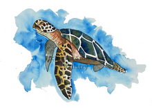 Load image into Gallery viewer, If you have a love for Marine animals, than these are the prints for you! These stunning wall prints are perfect as singles or sets of 3, 4, 5 and 6. The mix of soft and dark blues give a calming feel to each print. This one features a Turtle. These would be gorgeous in a child’s bedroom. Beautiful and educational all in one.