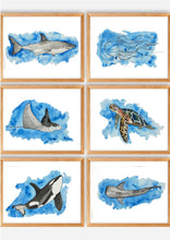 Load image into Gallery viewer, If you have a love for Marine animals, than these are the prints for you! These stunning wall prints are perfect as singles or sets of 3, 4, 5 and 6. The mix of soft and dark blues give a calming feel to each print. The full set features a Shark, a Jellyfish, a Stingray, a Turtle, an Orca Whale and a Whaleshark. These would be gorgeous in a child’s bedroom. Beautiful and educational all in one.