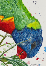 Load image into Gallery viewer, ‘Garry’ is an original watercolour painting. He is a native Australian Rainbow Lorikeet. Lorikeets are known to be cheeky birds and ‘Garry’ definitely demonstrates this in his expression. The use of bright colours makes this a beautiful statement piece. It was painted to create happiness when you see it. Who doesn’t love a cheeky little bird.