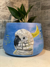 Load image into Gallery viewer, Cockatoo drum pot