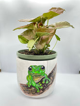 Load image into Gallery viewer, Hand Painted Pots