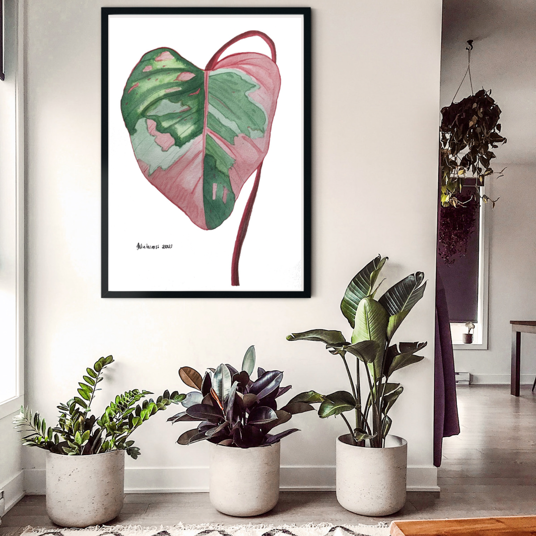 Philodendron Pink Princess Wall Art Print – Etched in Stone and Artistry