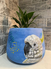 Load image into Gallery viewer, Cockatoo drum pot