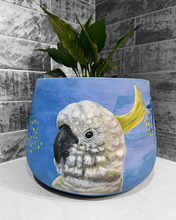 Load image into Gallery viewer, Cockatoo drum pot