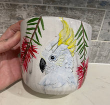 Load image into Gallery viewer, Hand Painted Pots