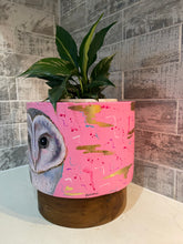 Load image into Gallery viewer, Barn Owl Planter