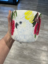Load image into Gallery viewer, Hand Painted Pots