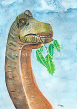Load image into Gallery viewer, This watercolour Brontosaurus Art Print is the perfect edition to any dinosaur lovers room. His natural colouring, gives the realistic feel of a real dinosaur in your room. You have the option of a blue or white background, giving you more options to suit your decor.