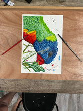 Load image into Gallery viewer, ‘Garry’ is an original watercolour painting. He is a native Australian Rainbow Lorikeet. Lorikeets are known to be cheeky birds and ‘Garry’ definitely demonstrates this in his expression. The use of bright colours makes this a beautiful statement piece. It was painted to create happiness when you see it. Who doesn’t love a cheeky little bird.