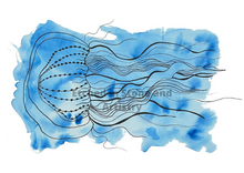 Load image into Gallery viewer, If you have a love for Marine animals, than these are the prints for you! These stunning wall prints are perfect as singles or sets of 3, 4, 5 and 6. The mix of soft and dark blues give a calming feel to each print. This one features a Jellyfish. These would be gorgeous in a child’s bedroom. Beautiful and educational all in one.