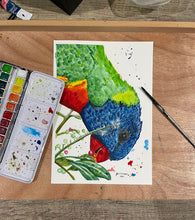 Load image into Gallery viewer, ‘Garry’ is an original watercolour painting. He is a native Australian Rainbow Lorikeet. Lorikeets are known to be cheeky birds and ‘Garry’ definitely demonstrates this in his expression. The use of bright colours makes this a beautiful statement piece. It was painted to create happiness when you see it. Who doesn’t love a cheeky little bird.