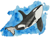 Load image into Gallery viewer, If you have a love for Marine animals, than these are the prints for you! These stunning wall prints are perfect as singles or sets of 3, 4, 5 and 6. The mix of soft and dark blues give a calming feel to each print.  This one features an Orca Whale.  These would be gorgeous in a child’s bedroom. Beautiful and educational all in one. 

