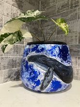 Load image into Gallery viewer, Hand Painted Whale Drum Pot
