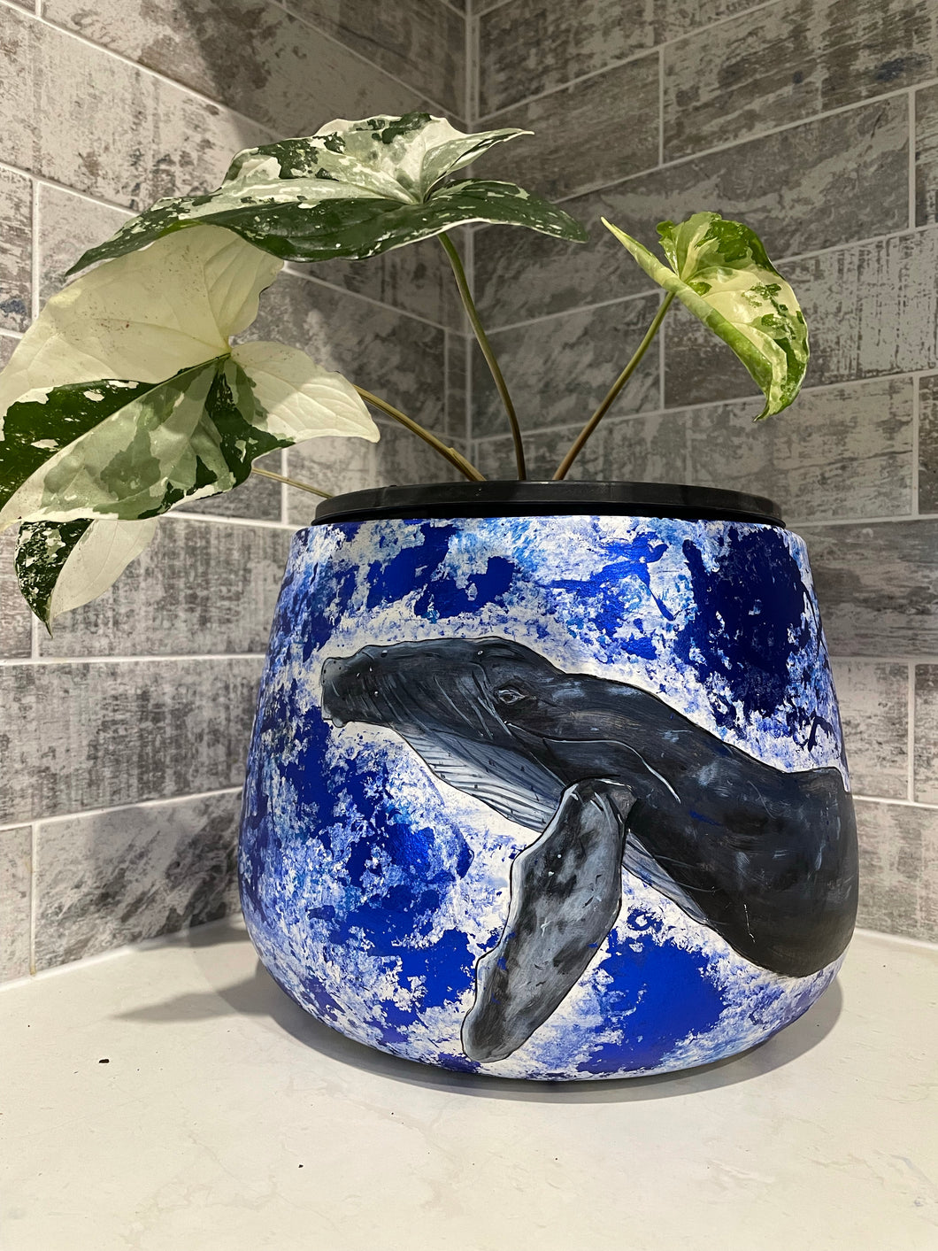 Hand Painted Whale Drum Pot