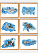Load image into Gallery viewer, If you have a love for Marine animals, than these are the prints for you! These stunning wall prints are perfect as singles or sets of 3, 4, 5 and 6. The mix of soft and dark blues give a calming feel to each print.  The full set features a Shark, a Jellyfish, a Stingray, a Turtle, an Orca Whale and a Whaleshark.  These would be gorgeous in a child’s bedroom. Beautiful and educational all in one. 

