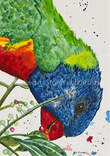 Load image into Gallery viewer, ‘Garry’ is an original watercolour painting. He is a native Australian Rainbow Lorikeet.       Lorikeets are known to be cheeky birds and ‘Garry’ definitely demonstrates this in his expression. The use of bright colours makes this a beautiful statement piece. It was painted to create happiness when you see it. Who doesn’t love a cheeky little bird. 

