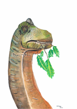 Load image into Gallery viewer, This watercolour Brontosaurus Art Print is the perfect edition to any dinosaur lovers room. His natural colouring, gives the realistic feel of a real dinosaur in your room. You have the option of a blue or white background, giving you more options to suit your decor. 
