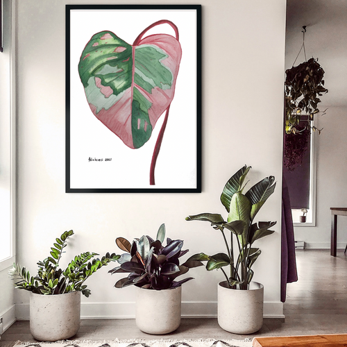 This gorgeous Philodendron, Pink Princess is a print of Toni’s beautiful original watercolor painting. This gorgeous print is the perfect addition to any keen plant lovers room.